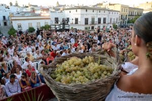 fiesta vendimia