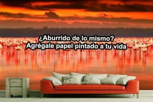 papel-pintado-original-para-salir-de-la-rutina