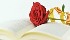 una rosa y un libro por sant jordi