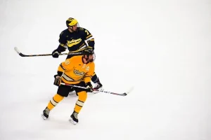 hockey hielo