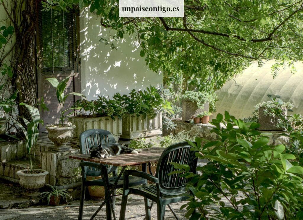 Consejos financieros, dormir mejor y jardinería en casa