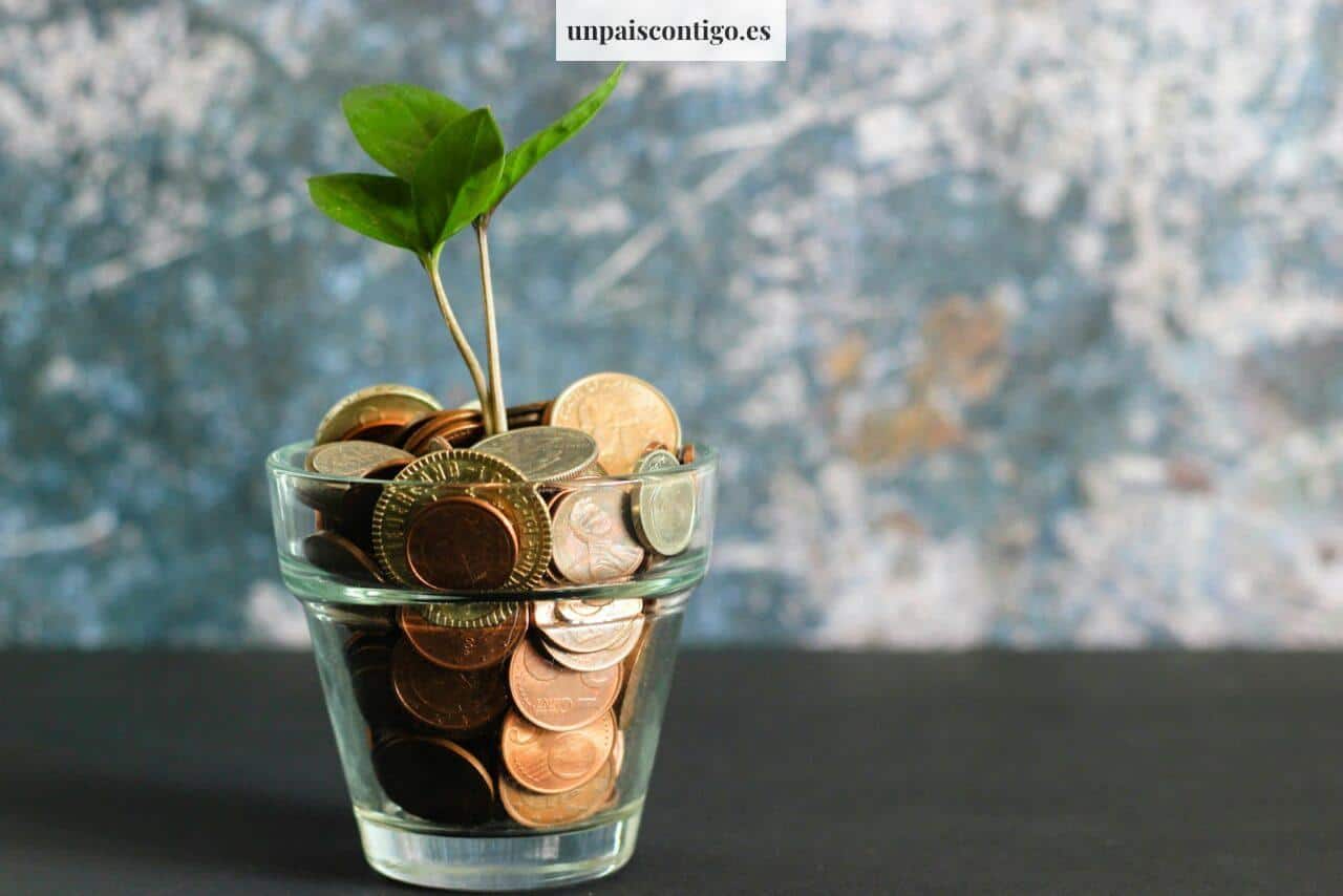 Consejos financieros prácticos, hábitos para dormir mejor y jardinería en casa