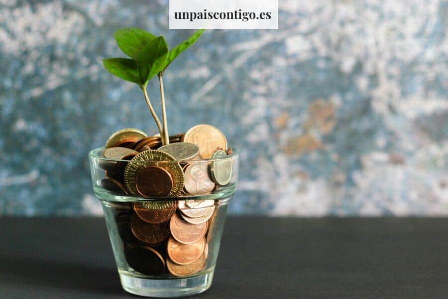 Consejos financieros prácticos, hábitos para dormir mejor y jardinería en casa