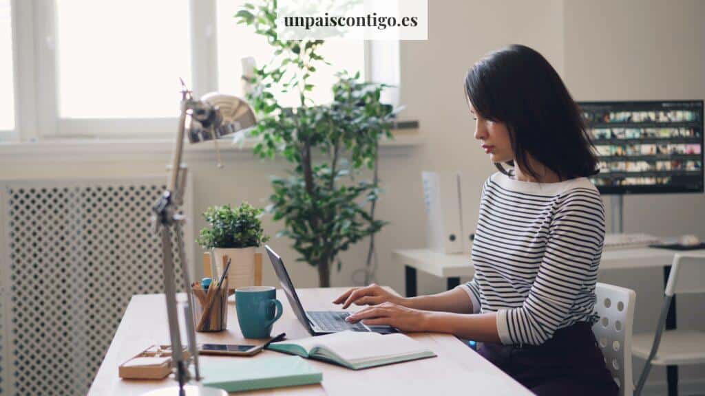 a woman sitting at a desk using a laptop computer