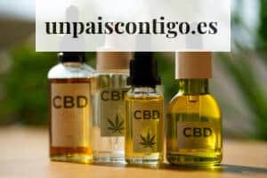 mejores cbd