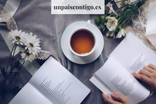 Guía de métodos de filtrado cómo preparar el café perfecto en casa